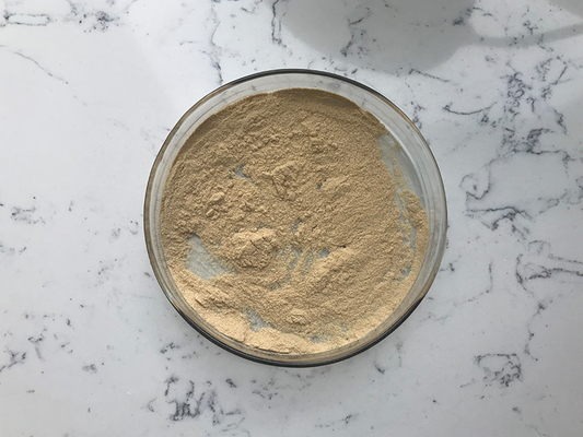 Selenium Enriched Yeast Pure Plant Extracts Protein 45%