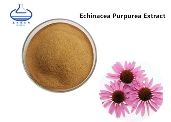 Echinacea Purpurea Lutein Extract Powder Polyphenol 90028-20-9