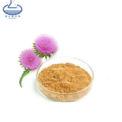 Bulk Silymarin Extract Powder Food Grade Milk Thistle Extract Powder