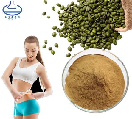 Manufactures Supply Food Grade Green Coffee Bean Extract