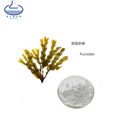 Fucoidan Powder Bulk Black Sea Kelp Extract Kelp Seaweed Extract