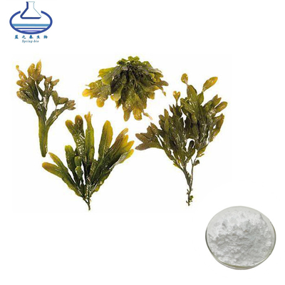 Fucoidan Powder Bulk Black Sea Kelp Extract Kelp Seaweed Extract