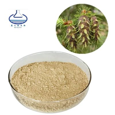 High Purity Taxifolin Dihydroquercetin Powder CAS 480-18-2