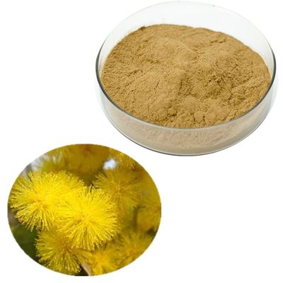 Solvent Pure Plant Extracts Natural Acacia Wood Bark Powder