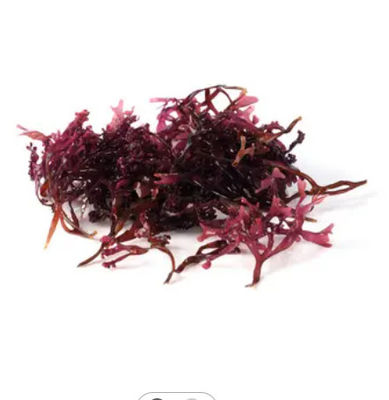 Solvent 100% organic Irish sea moss powder Pure Plant Extracts