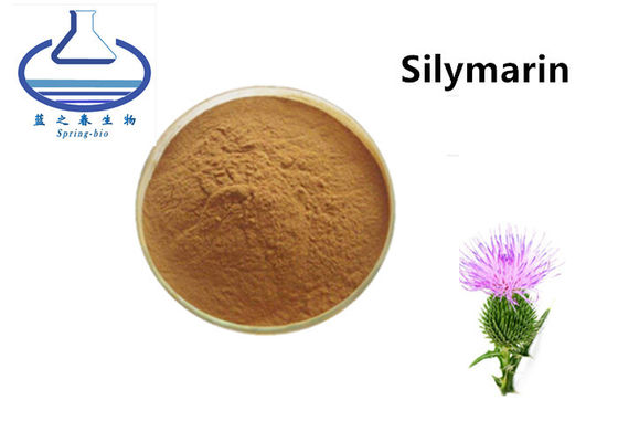 Bulk Silymarin Extract Powder Food Grade Milk Thistle Extract Powder