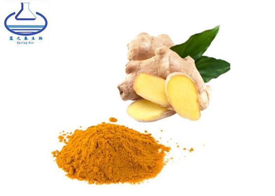 Food Pigment Tumeric Extract Powder 95% Tumeric Curcumin Powder CAS 458-37-7