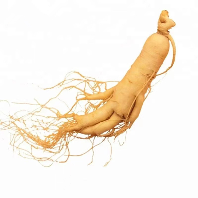 HPLC UV CAS 446-72-0 Pure Plant Extracts Straightly Ginseng Extracts