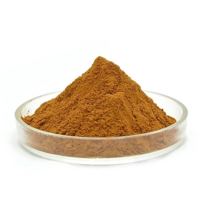 Food Grade Coffee Bean Extract Chlorogenic Acid Powder