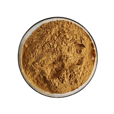 Food Grade Coffee Bean Extract Chlorogenic Acid Powder