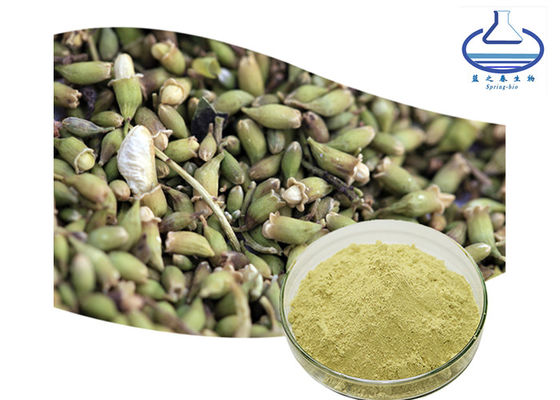 CAS 153-18-4 สารสกัดจากพืชบริสุทธิ์ Hydrate Rutin Sophora Japonica Extract Powder